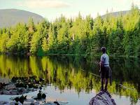 Highlight for Album: Alice Lake Provincial Park, Squamish, British Columbia - British Columbia Stock Photos
