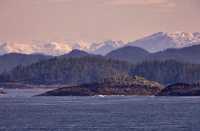 Inside Passage Cruise, Port Hardy To Prince Rupert, CM11-13