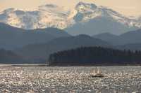 Inside Passage Cruise, Port Hardy To Prince Rupert, CM11-15