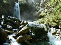 Sutherland Falls, Blanket Creek Park  British Columbia, Canada CM11-03 