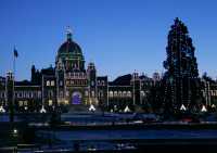 British Columbia Parliament Buildings, Christmas Lights, Victoria, Canada CM11-12