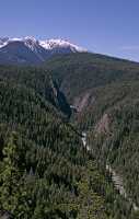 Bralorne Region, Cadwallader Creek, British Columbia CM11-009