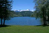 Taughton Lake, British Columbia CM11-008