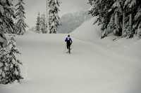 Callaghan Valley, Cross Country Skiing, Whistler, British Columbia, Canada, CM11-06