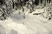 Callaghan Valley, Cross Country Skiing, Whistler, British Columbia, Canada, CM11-05