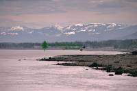 Highlight for Album: Campbell River, Vancouver Island, British Columbia Stock Photos