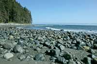 China Beach, Strait of Juan de Fuca, Vancouver Island CM11-001