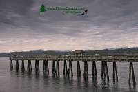 Highlight for Album: Discovery Pier, Campbell River, Vancouver Island, BC, Canada British Columbia Stock Photos