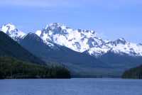 Joffre Park, Duffey Lake, Lillooet To Pemberton, British Columbia, Canada CM11-46 