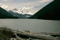 Joffre Park, Duffey Lake, Lillooet To Pemberton, British Columbia, Canada CM11-45 