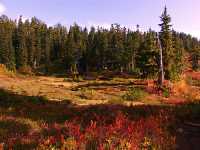 Mt Garibaldi Provincial Park, British Columbia, Canada  03 
