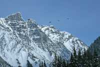 Glacier National Park, British Columbia, Canada CM11-21