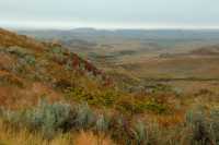 Grasslands National Park - East Block, Saskatchewan, Canada CMX-020