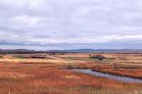 Grasslands National Park - West Block, Saskatchewan, Canada CMX-026 