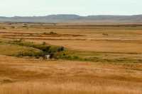 Grasslands National Park - West Block, Saskatchewan, Canada CMX-030
