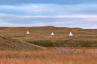 Grasslands National Park - West Block, Saskatchewan, Canada CMX-032