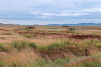 Grasslands National Park - West Block, Saskatchewan, Canada CMX-039