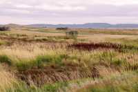 Grasslands National Park - West Block, Saskatchewan, Canada CMX-040