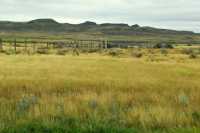 Grasslands National Park - West Block, Saskatchewan, Canada CMX-041
