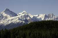 Icefields Parkway, 2011, Banff & Jasper National Parks, Alberta, Canada CM11-001