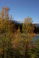 Icefields Parkway, Fall 2010, Banff and Jasper National Parks, Alberta, Canada CM11-003