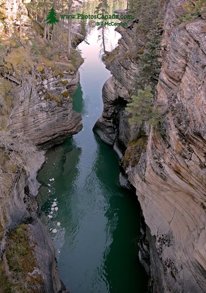 Athabaska Falls, Icefields Parkway, Spring 2009, Jasper National Park, Alberta CM11-06 Athabaska Falls, Icefields Parkway, Spring 2009, Jasper National Park, Alberta CM11-06