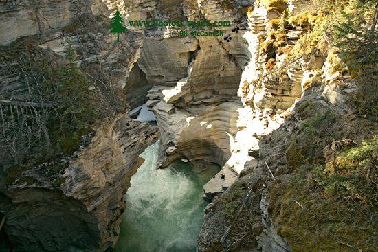 Athabaska Falls, Icefields Parkway, Spring 2009, Jasper National Park, Alberta CM11-03 Athabaska Falls, Icefields Parkway, Spring 2009, Jasper National Park, Alberta CM11-03