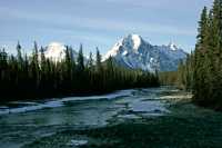 Icefields Parkway, Spring 2009, Jasper National Park, Alberta CM11-01