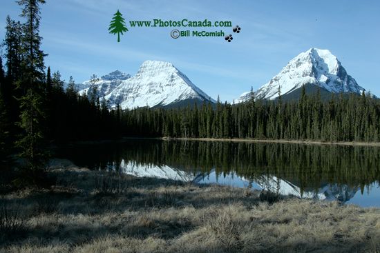 Icefields Parkway, Spring 2009, Jasper National Park, Alberta CM11-02 Icefields Parkway, Spring 2009, Jasper National Park, Alberta CM11-02