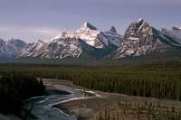 Icefields Parkway, Spring 2009, Jasper National Park, Alberta CM11-08