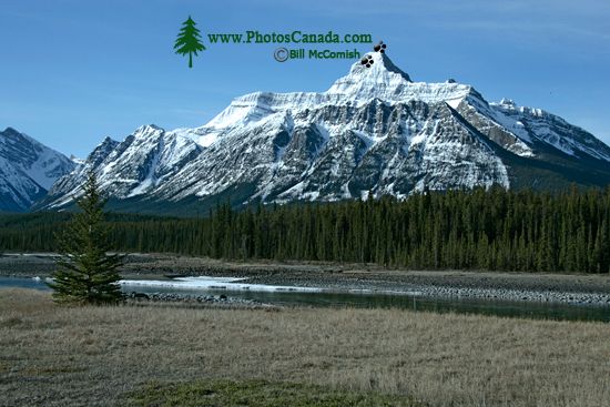 Icefields Parkway, Spring 2009, Jasper National Park, Alberta CM11-09 Icefields Parkway, Spring 2009, Jasper National Park, Alberta CM11-09