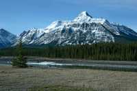 Icefields Parkway, Spring 2009, Jasper National Park, Alberta CM11-09