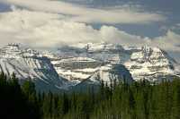 Icefields Parkway, Banff National Park CM11-011