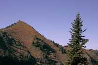 Idaho Peak Lookout, Ridge Trail, Kootenays, British Columbia, Canada CM11-022
