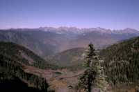 Idaho Peak Views, Ridge Trail, Kootenays, British Columbia, Canada CM11-020