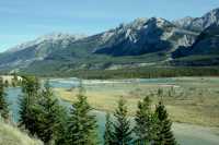 Jasper National Park, Alberta, Canada CM11-39 
