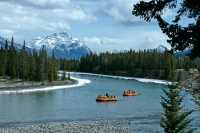Athabasca River Rafting, Jasper National Park, Alberta, Canada CM11-33