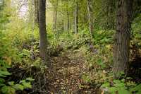 Spooky's Territory, Northern British Columbia, Canada CM11-12