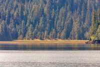 Khutzeymateen Inlet, Gateway To Khutzeymateen Grizzly Sanctuary, British Columbia, CM11-02