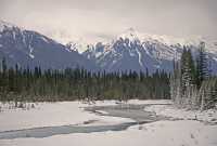 Kootenay National Park, British Columbia, Canada CM11-05