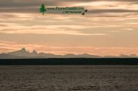 Highlight for Album: Lund and Region, Sunshine Coast, British Columbia Stock Photos
