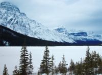 Mount Chephren, Lower Waterfowl Lake, Icefields Parkway, Jasper National Park, Alberta, Canada 02