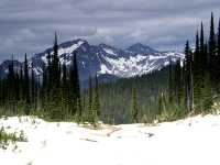 Mount Revelstoke National Park, British Columbia, Canada CM11-12