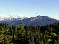 Mount Revelstoke National Park, British Columbia, Canada 03
