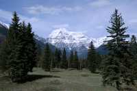 Mount Robson, Mount Robson Park, May 2010, British Columbia, Canada CM11-10