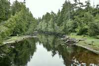 Naikoon Park, Sangan River, Queen Charlotte Islands, Haida Gwaii, British Columbia, Canada CM11-08