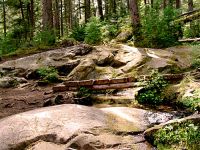Thorsen Creek Petroglyphs, Bella Coola, British Columbia, Canada 17