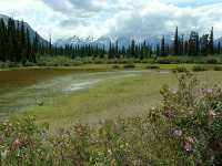 Ts,il,os Provincial Park, Nemiah Valley, Chilcotin, British Columbia, Canada 04