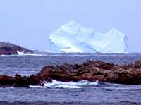 Iceberg Alley, Newfoundland, Canada 19

