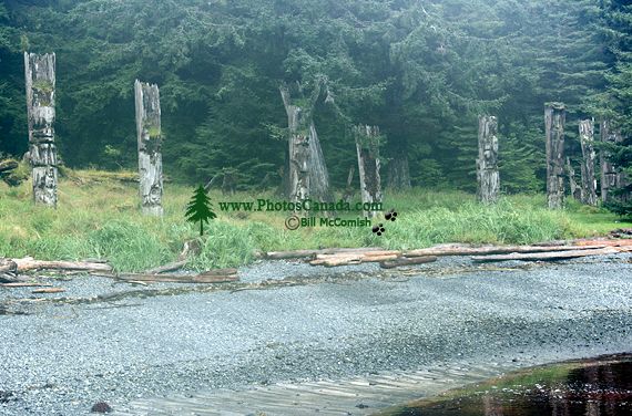 Ninstints Haida Village Remains, Anthony Island, Sgang Gwaay, UNESCO World Heritage Site, Gwaii Haanas National Park Reserve, Haida Gwaii, British Columbia, Canada CM11-03